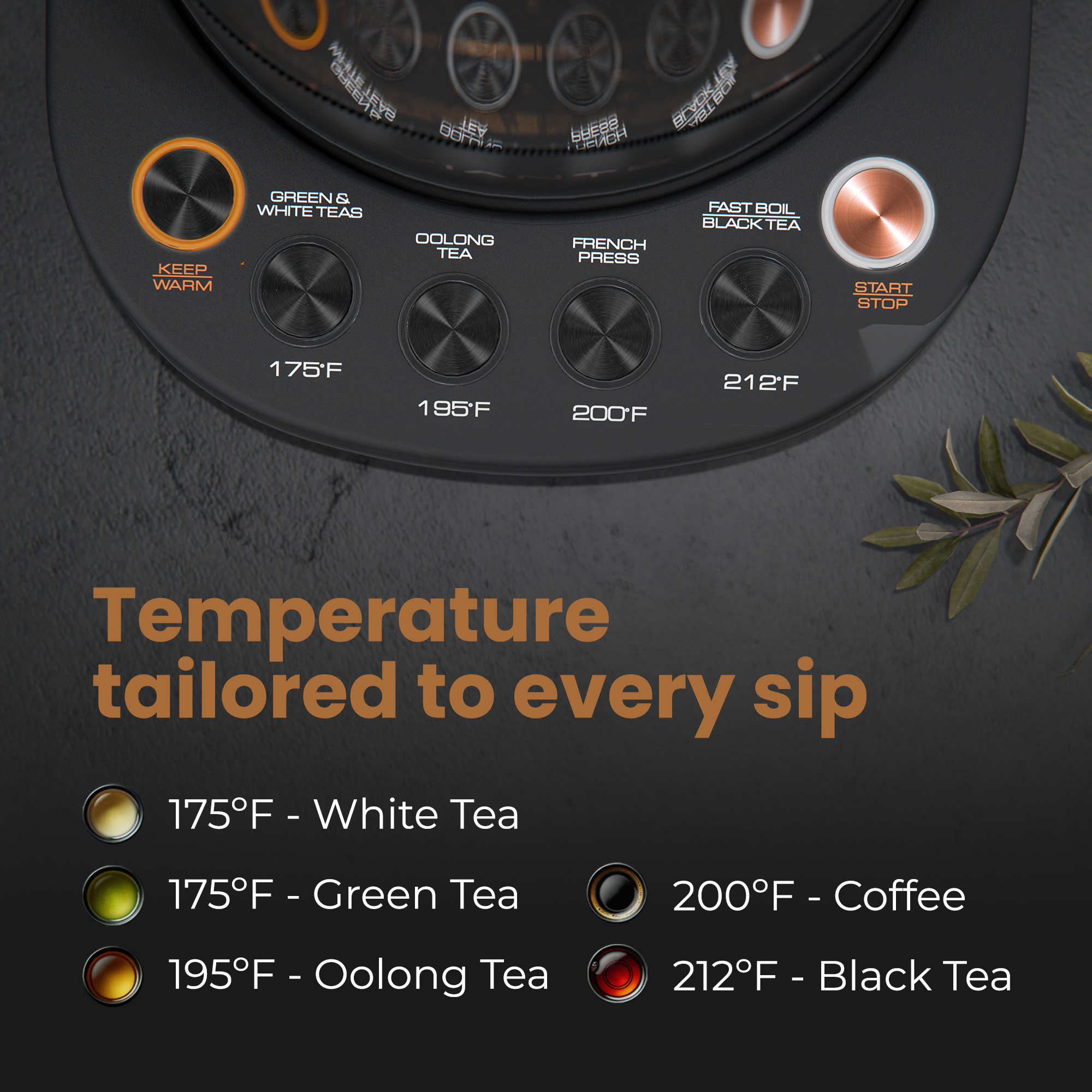 Automatic Digital Tea Maker with Infuser